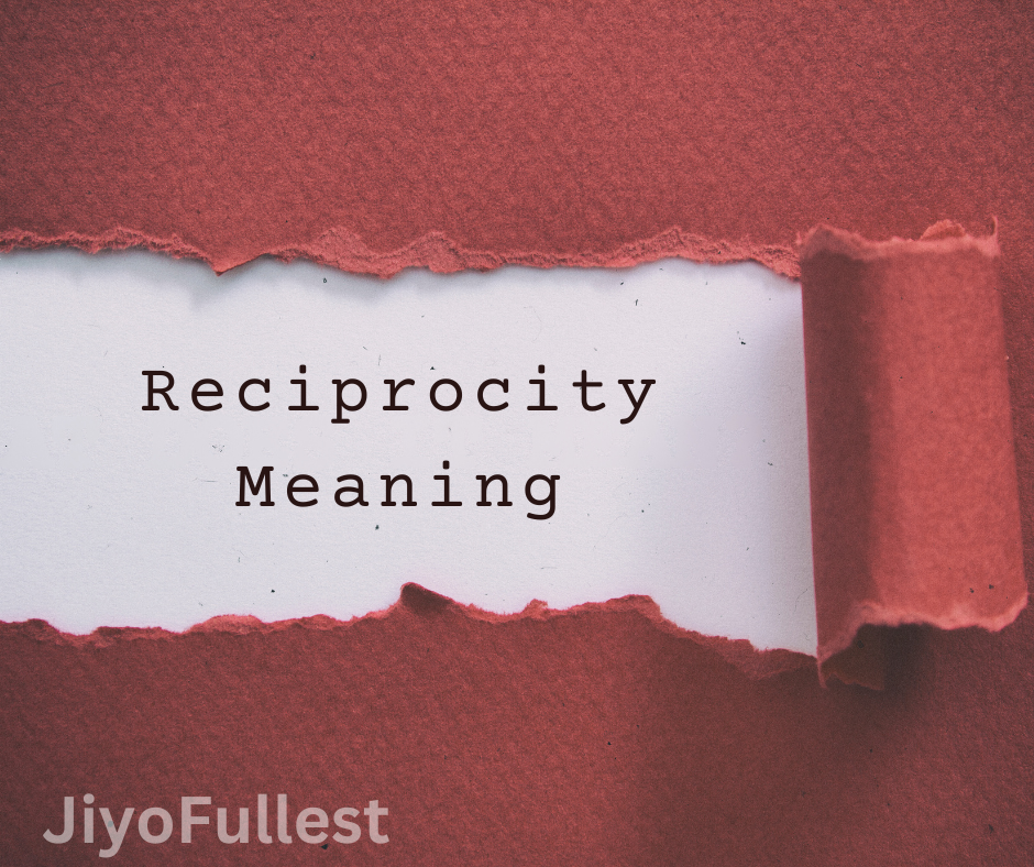 Reciprocity Meaning