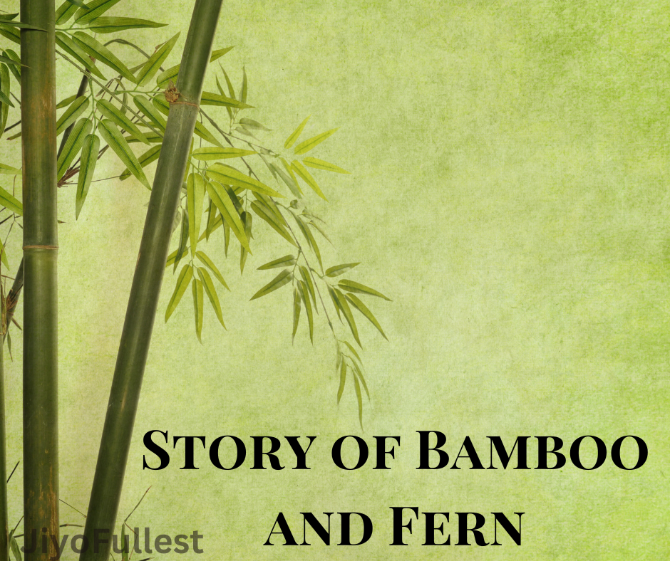 Story of Bamboo and Fern