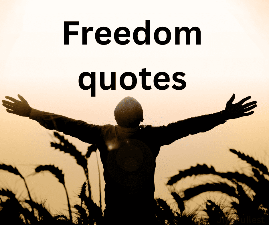 Liberty Lines: Freedom Quotes