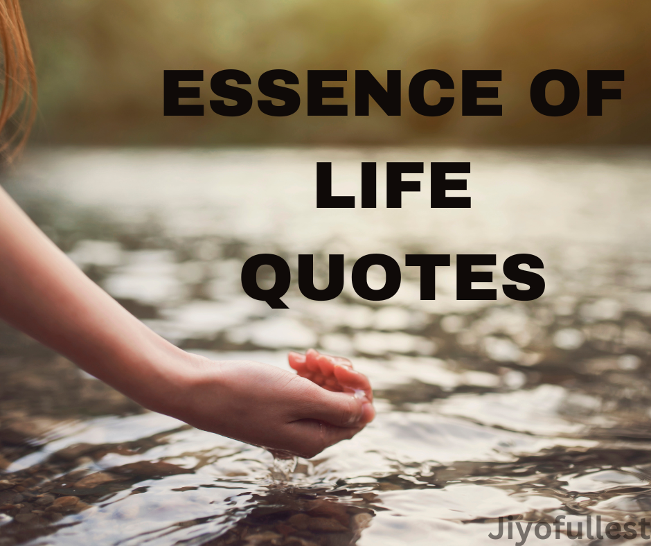 100 Best Essence of Life Quotes That Will Actually Inspire You