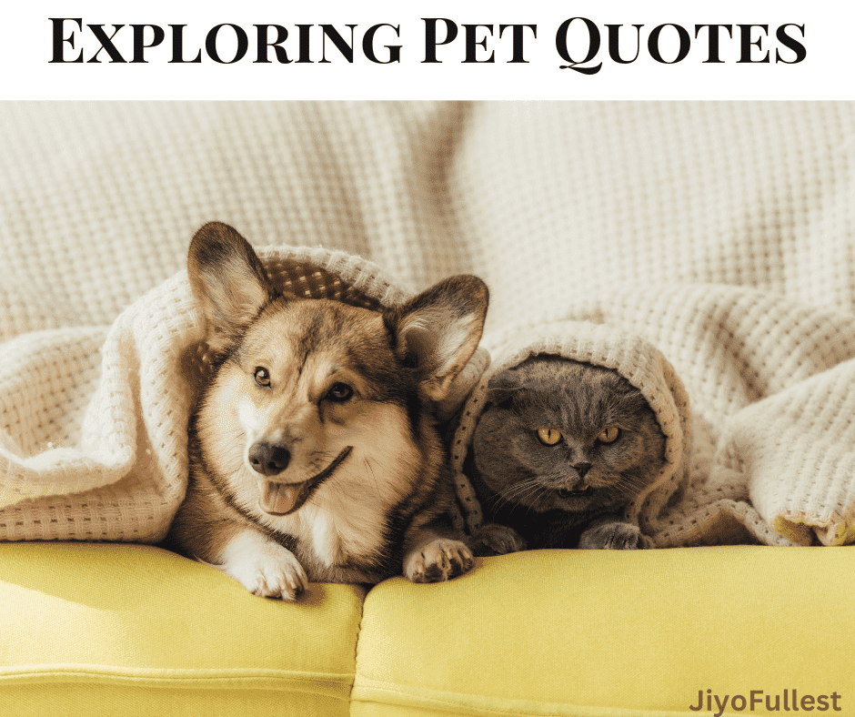 Pet Quotes: Animal Affection