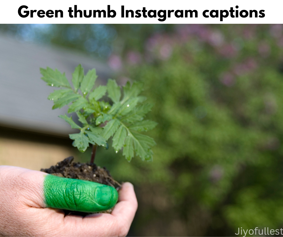 Green thumb Instagram captions