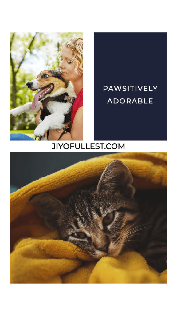 Pet Love Quotes