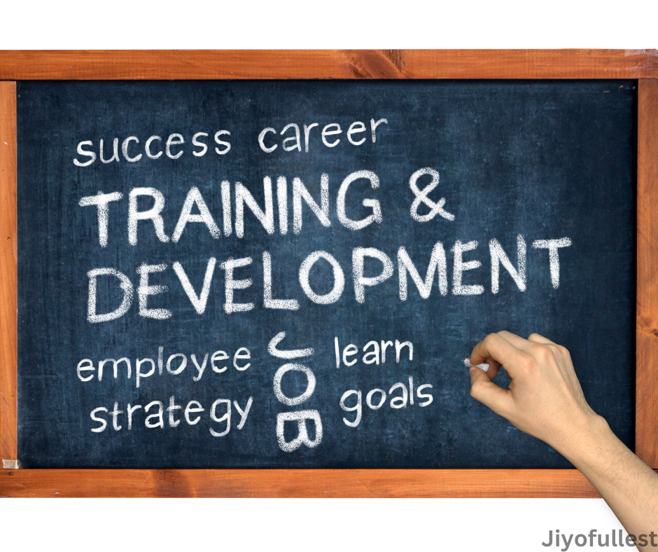 Training and Development