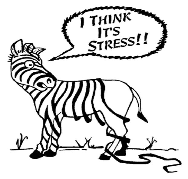 Stress is Good: Change Your Perspective to Manage Stress in 2025