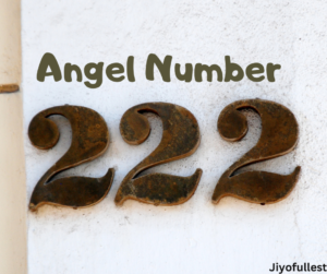 Angel Number 222