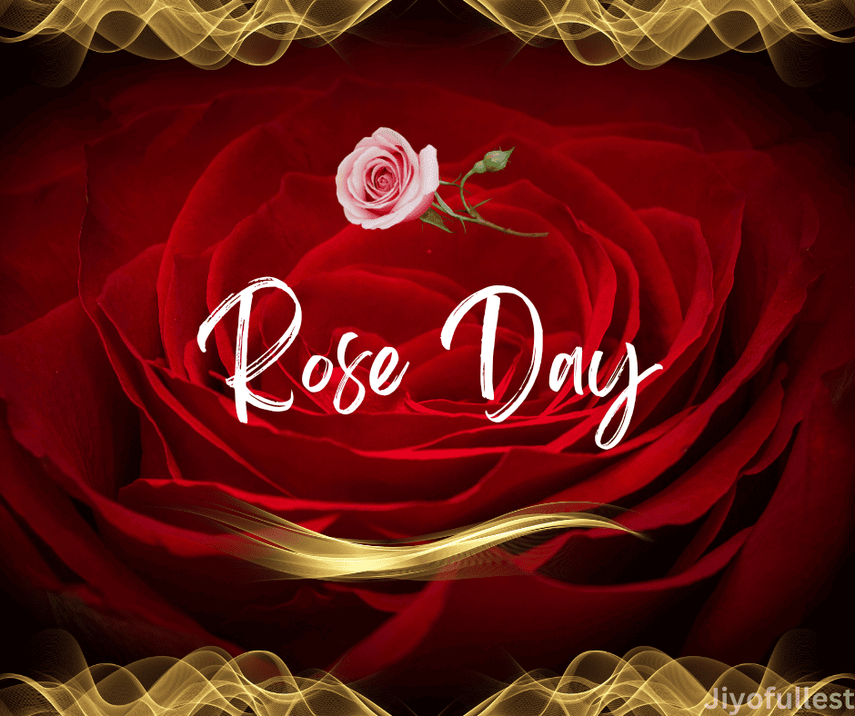 Rose Day Wishes