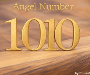 angel number 1010